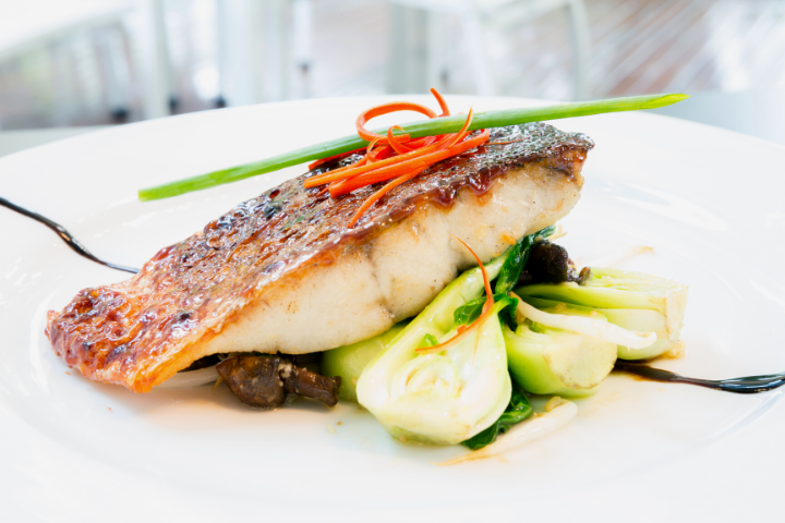 Barramundi
