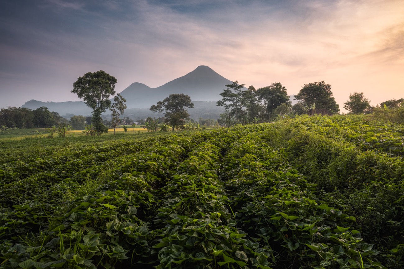 Wildan Kusuma Photographer