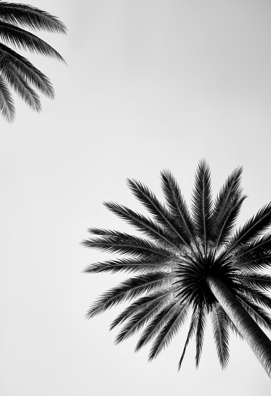 Palm leaf shadow background