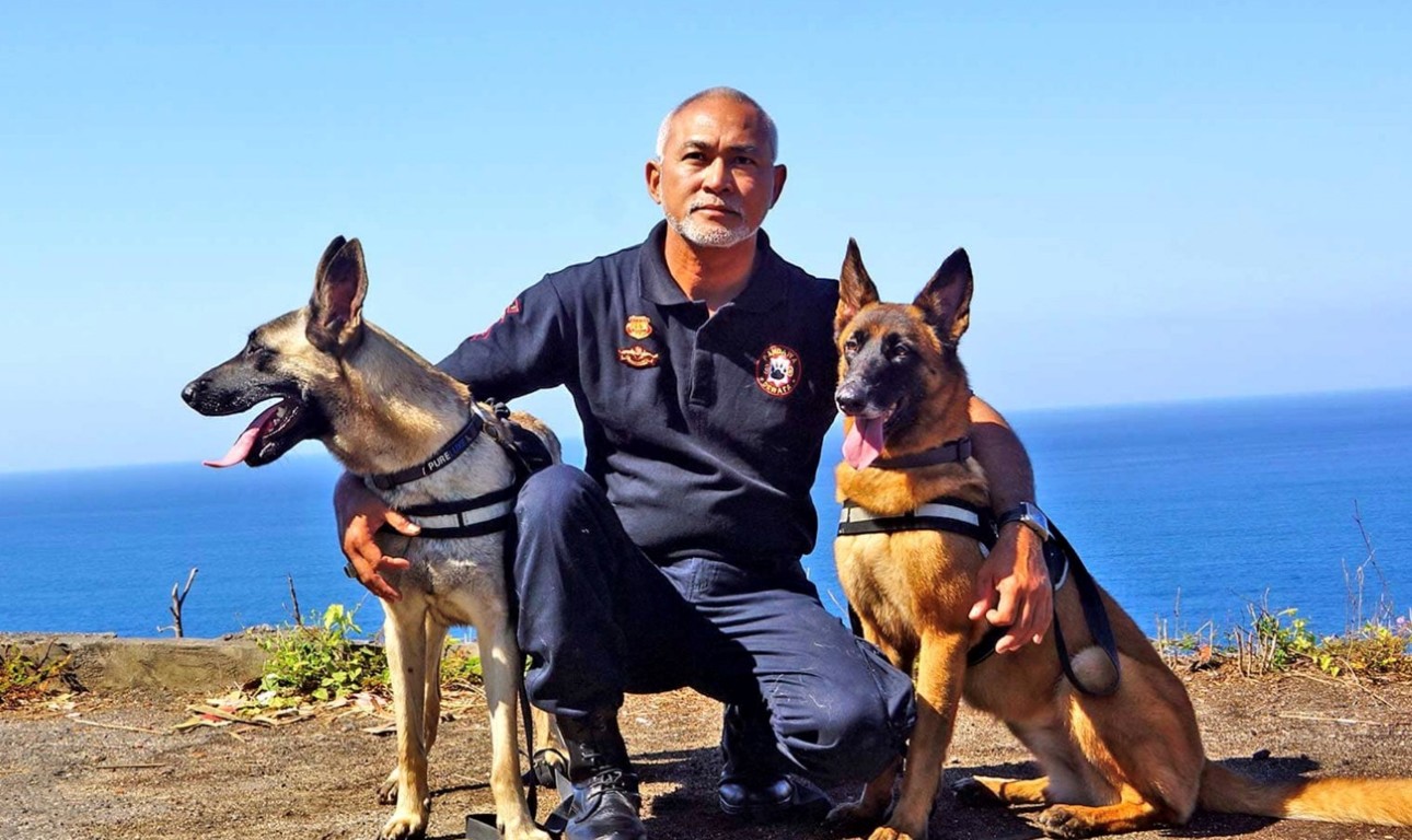K9 Bali - Digital Marketing Case Study