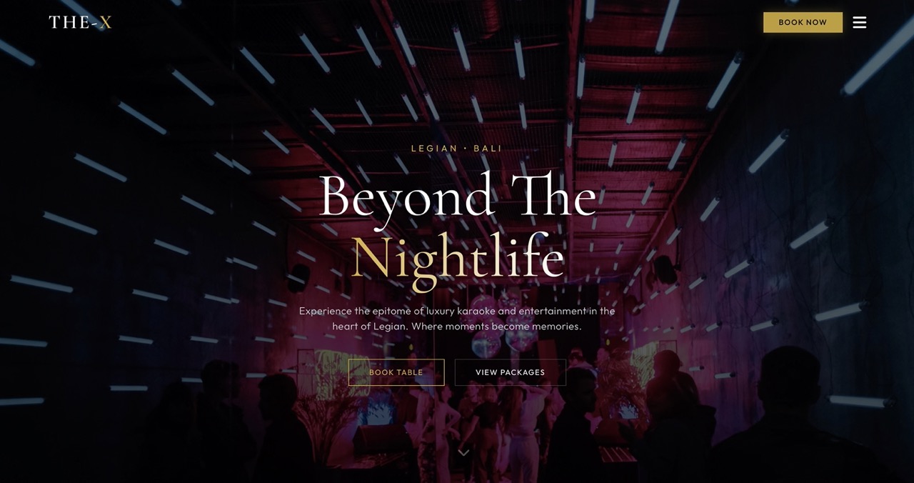 demo website karaoke entertainment nightlife business website