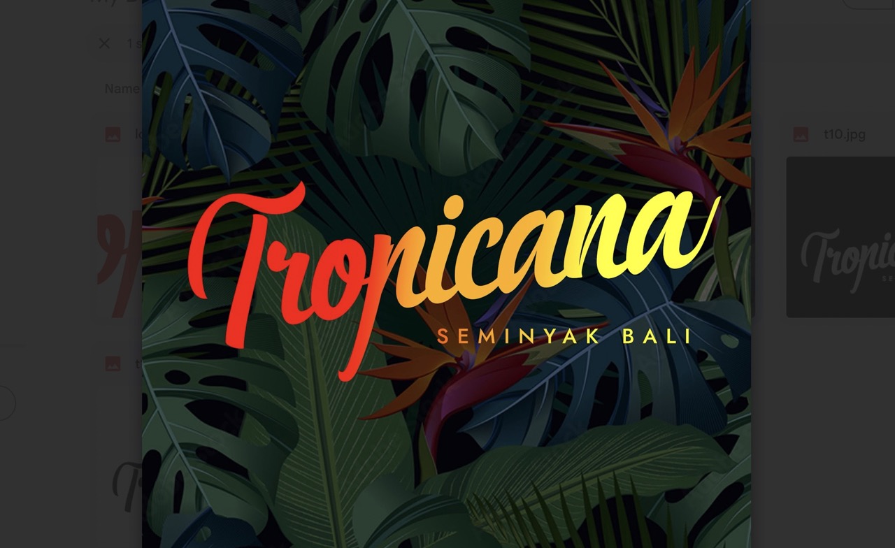 Tropicana Bali - Digital Marketing Case Study